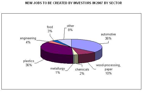 New jobs to be created by investors in 2007 by sector